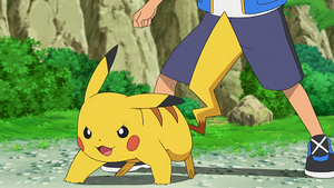 LV017 - Pikachu de Sacha.png
