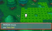 Route 104 Poké Ball ROSA.png