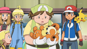 XY046 - Teddiursa d'une Éleveuse.png