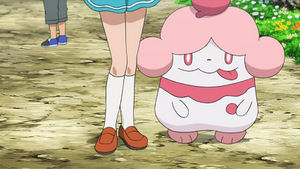 XY105 - Cupcanaille de Miette.png