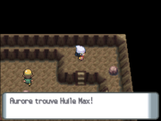 Île de Fer Huile Max DP.png