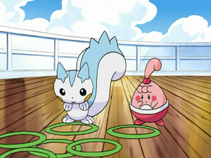 DP039 - Pachirisu d'Aurore et Ptiravi de Pierre.png