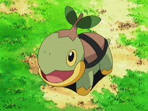 DP066 - Tortipouss de Sacha.png