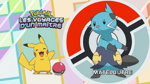 FR - QECP LV081.png
