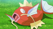 Magicarpe(de Goh)