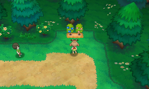 Route 104 Baies ROSA.png