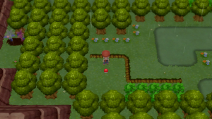 Route 215 Total Soin DEPS.png