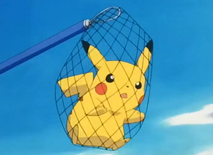 EP207 - Pikachu de Sacha.png
