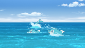 LH044 - Dofin.png