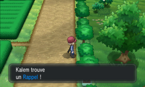 Palais Chaydeuvre Rappel XY.png