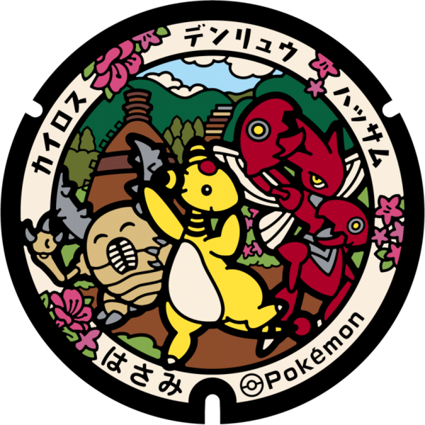 Fichier:Poké Lid 480 Hasami.png