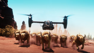 Tauros sauvages - Film 22.png
