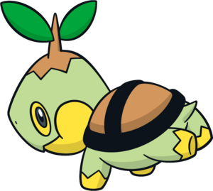 Tortipouss (7)-CA.png