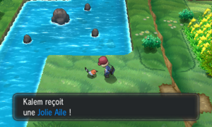 Village Pokémon Jolie Aile XY (2).png