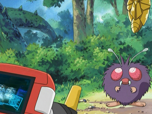 AG155 - Mimitoss.png