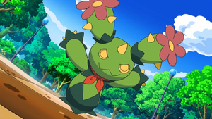 Cachi de Thibeault.png