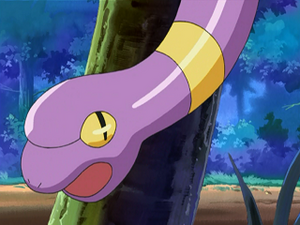 DP006 - Abo.png