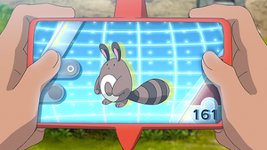 LV009 - Fouinette Pokédex.png