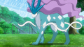 Suicune (de Goh)