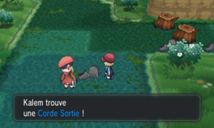 Route 19 Corde Sortie XY.png