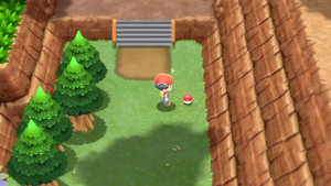 Route 205 Super Potion DEPS.png