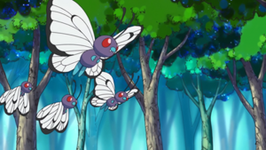 Épisode spécial LV 5 - Papilusion.png