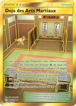 Dojo des Arts Martiaux (Soleil et Lune Éclipse Cosmique 268)