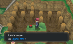 Route 19 Rappel Max XY.png