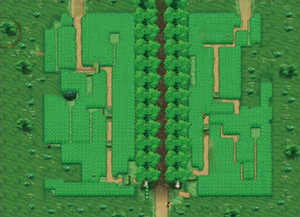 Route 6 carte XY.png