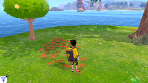 Taupiqueur d'Alola Mer Align'Îlots 6 EB.png