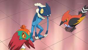 XY053 - Brutalibré, Croâporal et Braisillon de Sacha.png