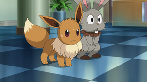 XY090 - Évoli de Serena et Sapereau de Lem.png