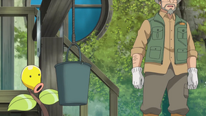 XY123 - Chétiflor de Kalyan.png