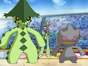 AG122 - Cacturne et Branette d'Harley.png