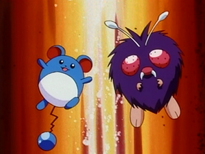 EP098 - Marill et Mimitoss de Jacky.png