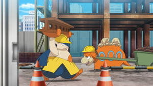 LV141 - Hariyama et Camérupt d'un Dresseur.png