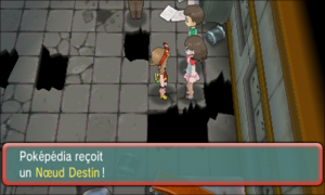 Lavandia Sea Nœud Destin ROSA.png