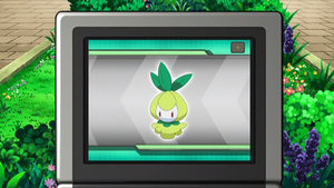 NB080 - Chlorobule Pokédex.png