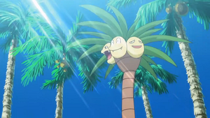 SL001 - Noadkoko d'Alola.png