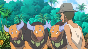 SL009 - Tauros d'un Dresseur.png