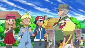 XY027 - Couafarel d'un Dresseur.png