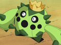 Cacnea (de James)