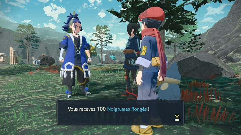 Fichier:Bivouac Contrefort Noigrume Rongé LPA.png