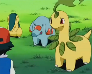 EP262 - Phanpy et Macronium de Sacha.png