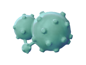 Sprite 0110 chromatique dos LGPE.png