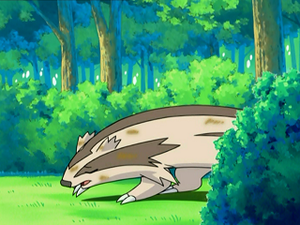DP005 - Linéon.png