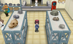 L'intérieur du Bureau d'Étude des Fossiles dans Pokémon X et Y.