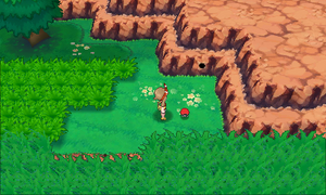 Route 118 Hyper Potion ROSA.png