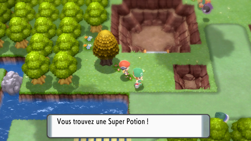 Fichier:Route 209 Super Potion DEPS.png