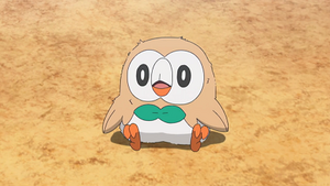 SL132 - Brindibou de Sacha.png